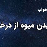 تعبیر خواب چیدن میوه