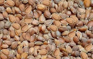 طبع قدومه شیرازی