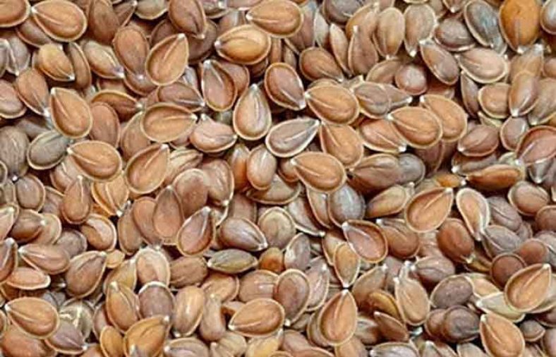 طبع قدومه شیرازی