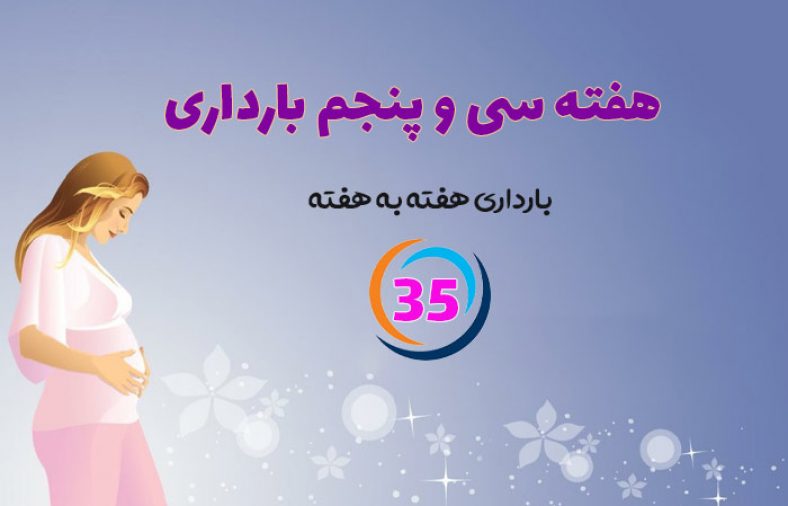 هفته سی و پنجم بارداری