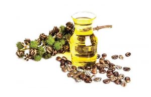 مسمومیت با گیاه کرچک