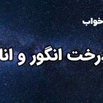 تعبیر خواب درخت انگور و انار