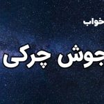 تعبیر خواب جوش چرکی