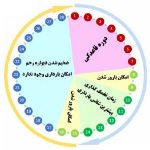 تعیین زمان تخمک گذاری