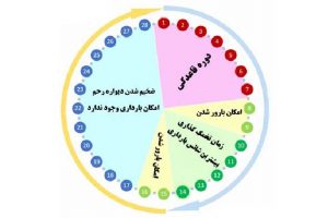 تعیین زمان تخمک گذاری