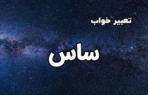تعبیر خواب ساس