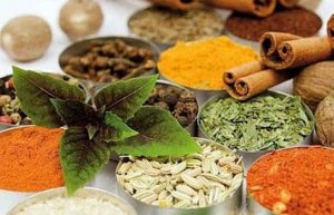 داروی گیاهی برای لاغری سریع