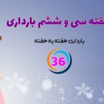 هفته سی و ششم بارداری