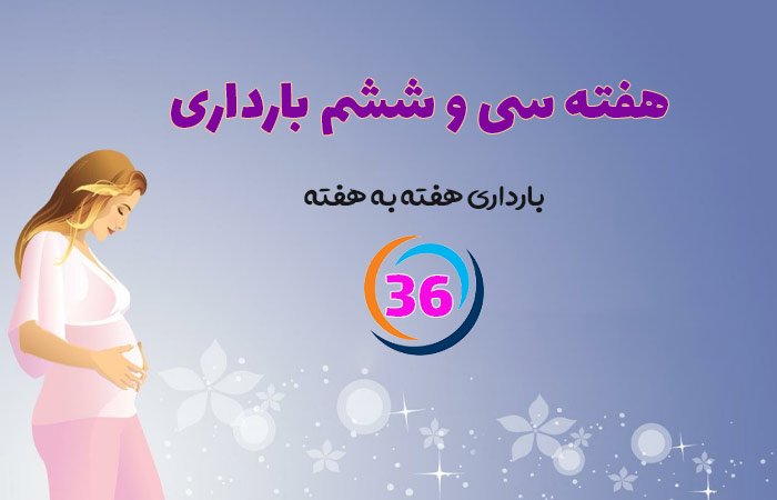 هفته سی و ششم بارداری