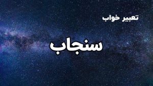 تعبیر خواب سنجاب
