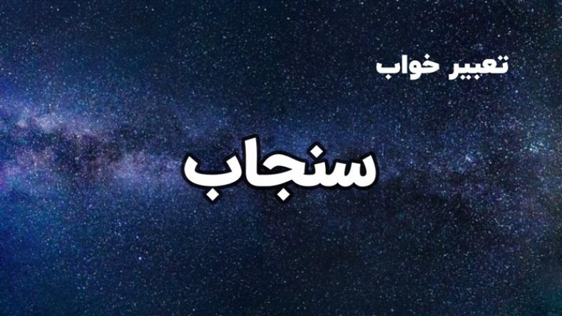 تعبیر خواب سنجاب