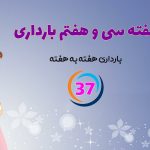 هفته سی و هفتم بارداری