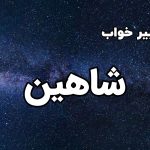 تعبیر خواب شاهین