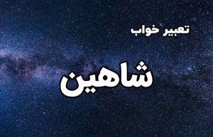 تعبیر خواب شاهین