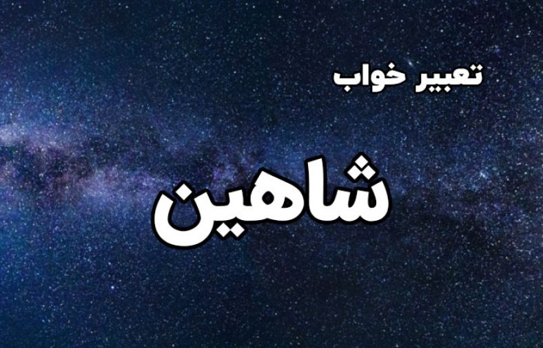 تعبیر خواب شاهین