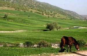 ایران گردی در نوروز