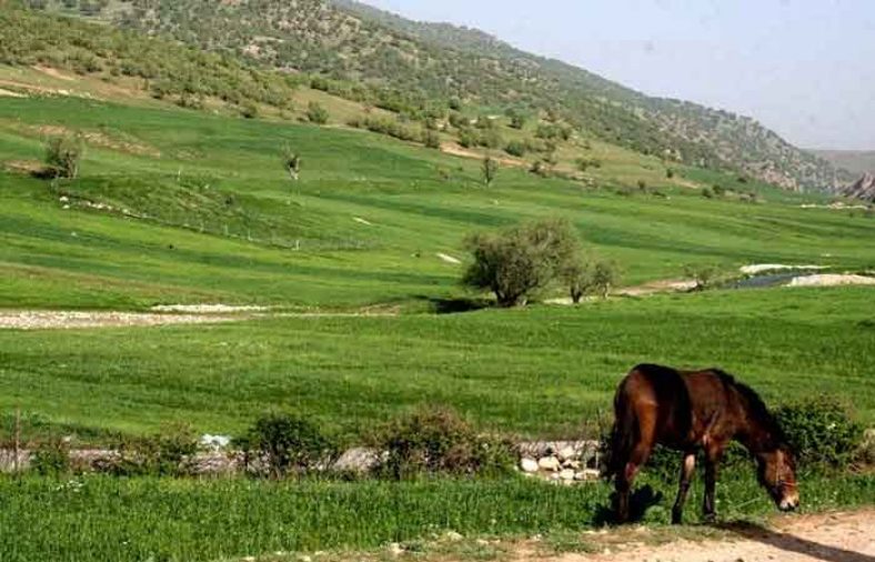 ایران گردی در نوروز