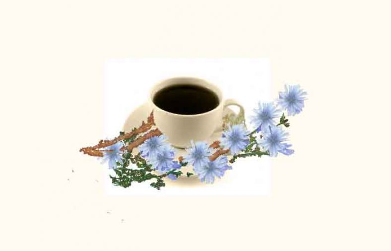 عرق کاسنی در بارداری