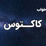 تعبیر خواب کاکتوس