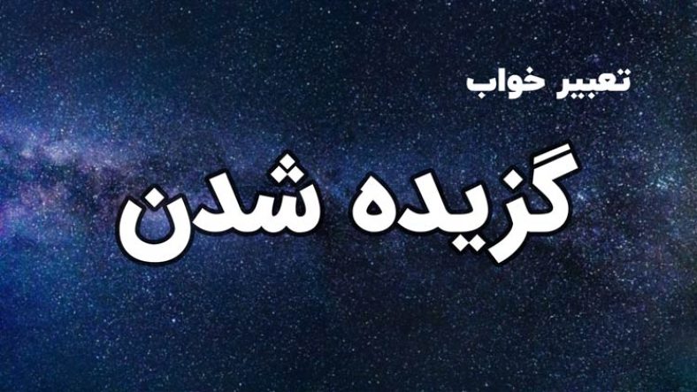 تعبیر خواب گزیده شدن