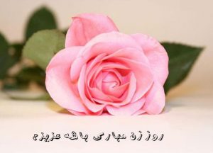 دانلود استیکر روز زن