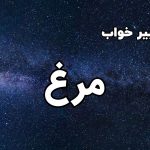 تعبیر خواب مرغ