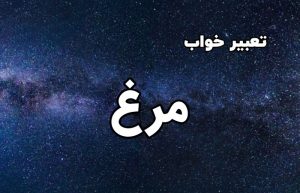 تعبیر خواب مرغ