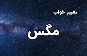 تعبیر خواب مگس