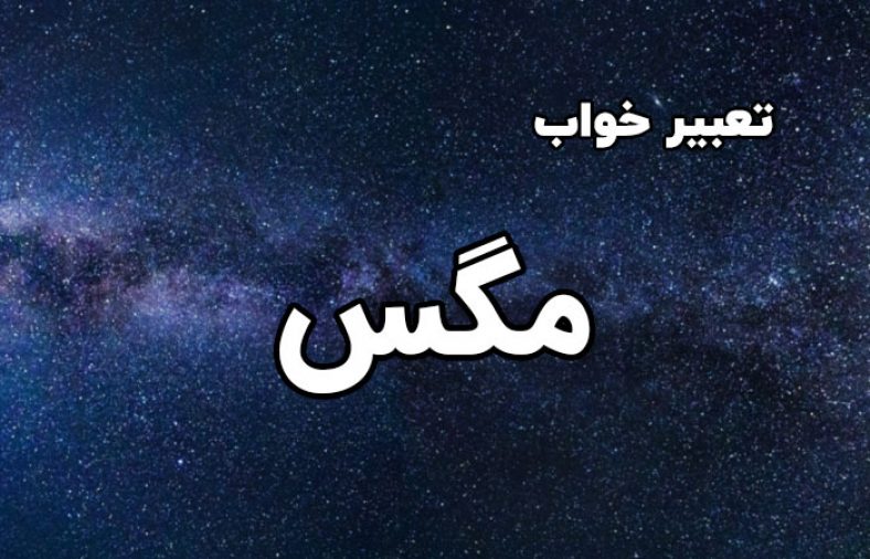 تعبیر خواب مگس