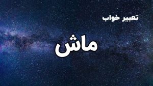 تعبیر خواب ماش