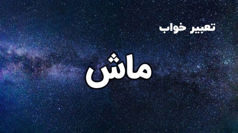 تعبیر خواب ماش