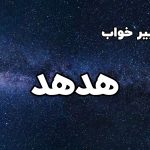 تعبیر خواب هدهد