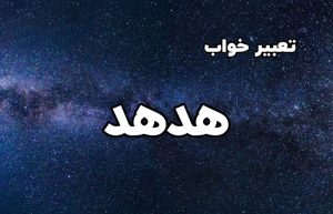 تعبیر خواب هدهد