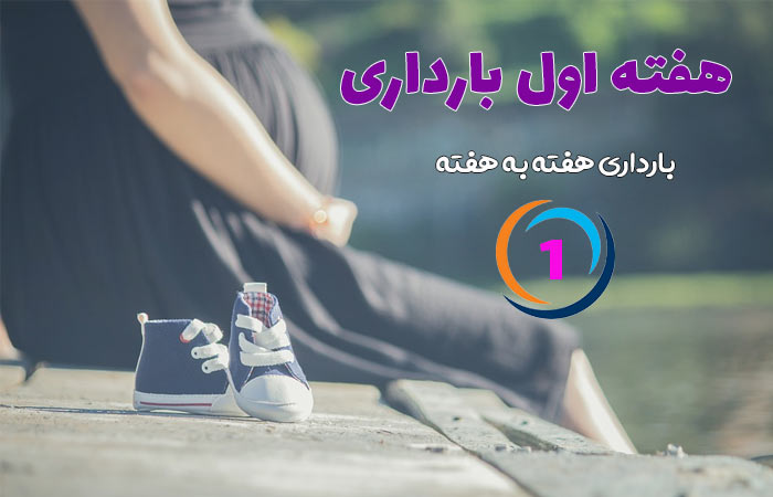 هفته اول بارداری