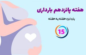 هفته پانزدهم بارداری