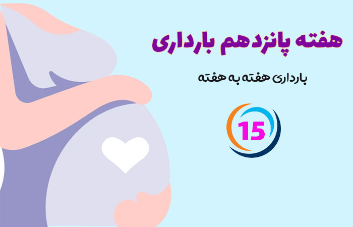 هفته پانزدهم بارداری