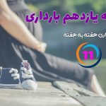 هفته یازدهم بارداری