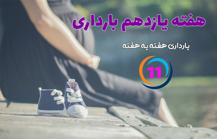 هفته یازدهم بارداری
