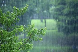 عکس آرامش دهنده