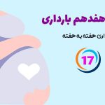 هفته هفدهم بارداری