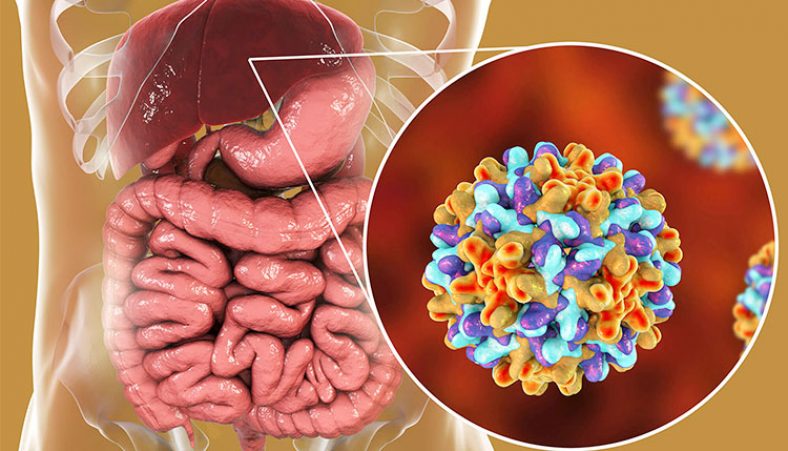 علایم اولیه بیماری هپاتیت چیست و درمان آن چگونه است؟