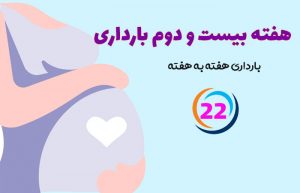 هفته بیست و دوم بارداری