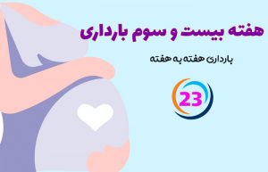 هفته بیست و سوم بارداری