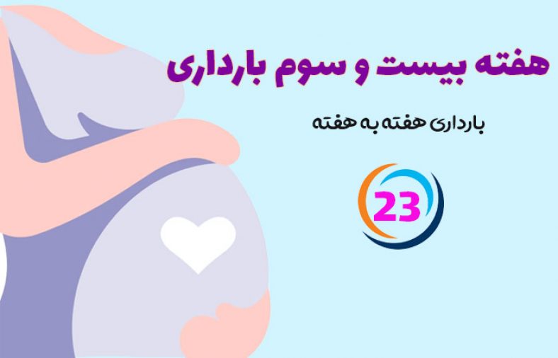 هفته بیست و سوم بارداری