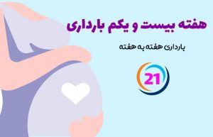 هفته بیست و یکم بارداری