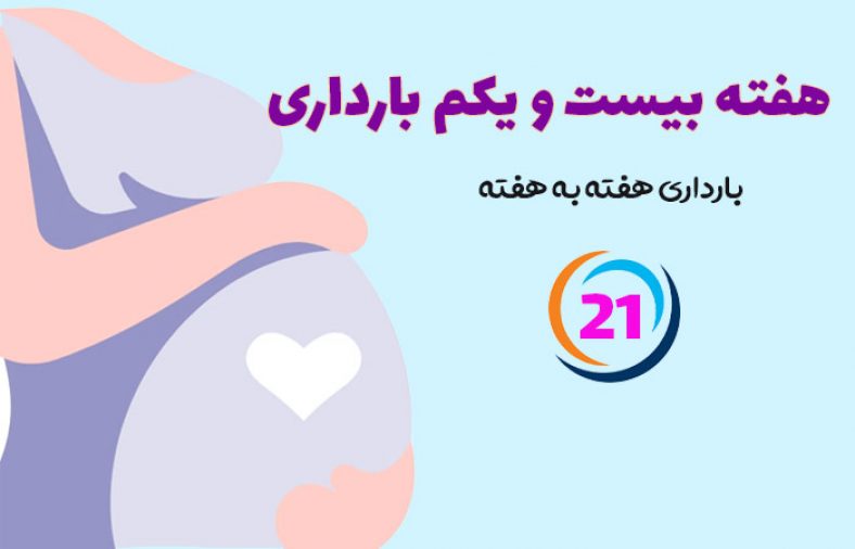 هفته بیست و یکم بارداری