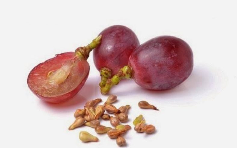 هسته انگور