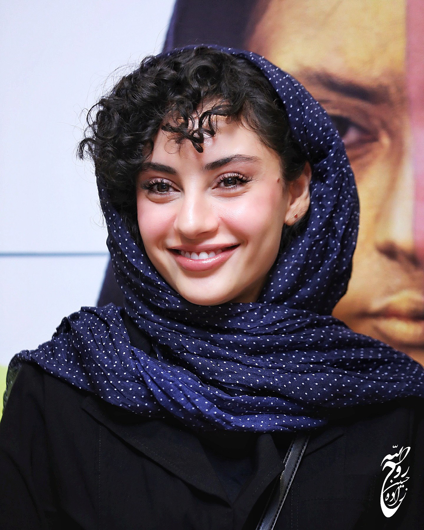 بیوگرافی ترلان پروانه