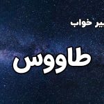 تعبیر خواب طاووس