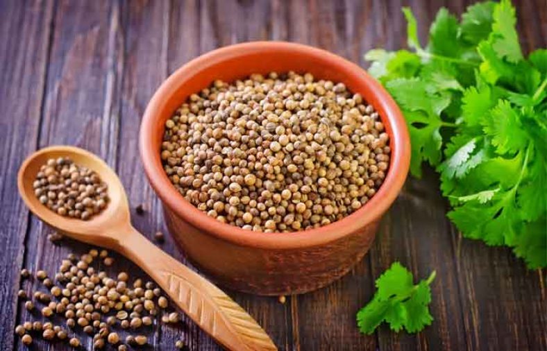 خواص تخم گشنیز